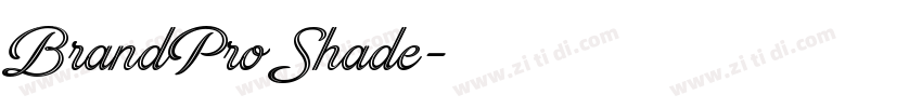 BrandPro Shade字体转换